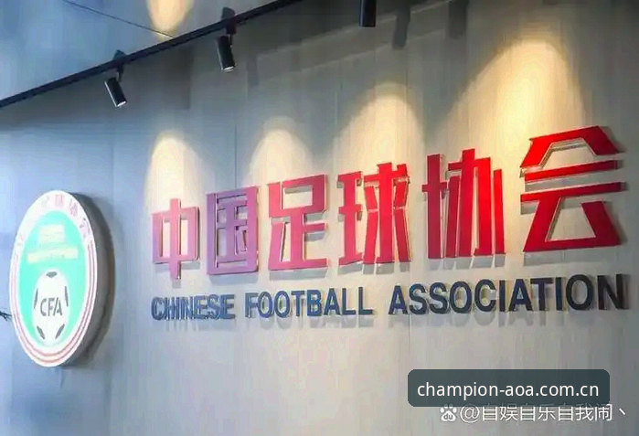AOA体育最新版本哪个好 资深用户盘点足协禁足名单:从孟惊到高寒,AOA体育平台上的案例剖析与实战心得